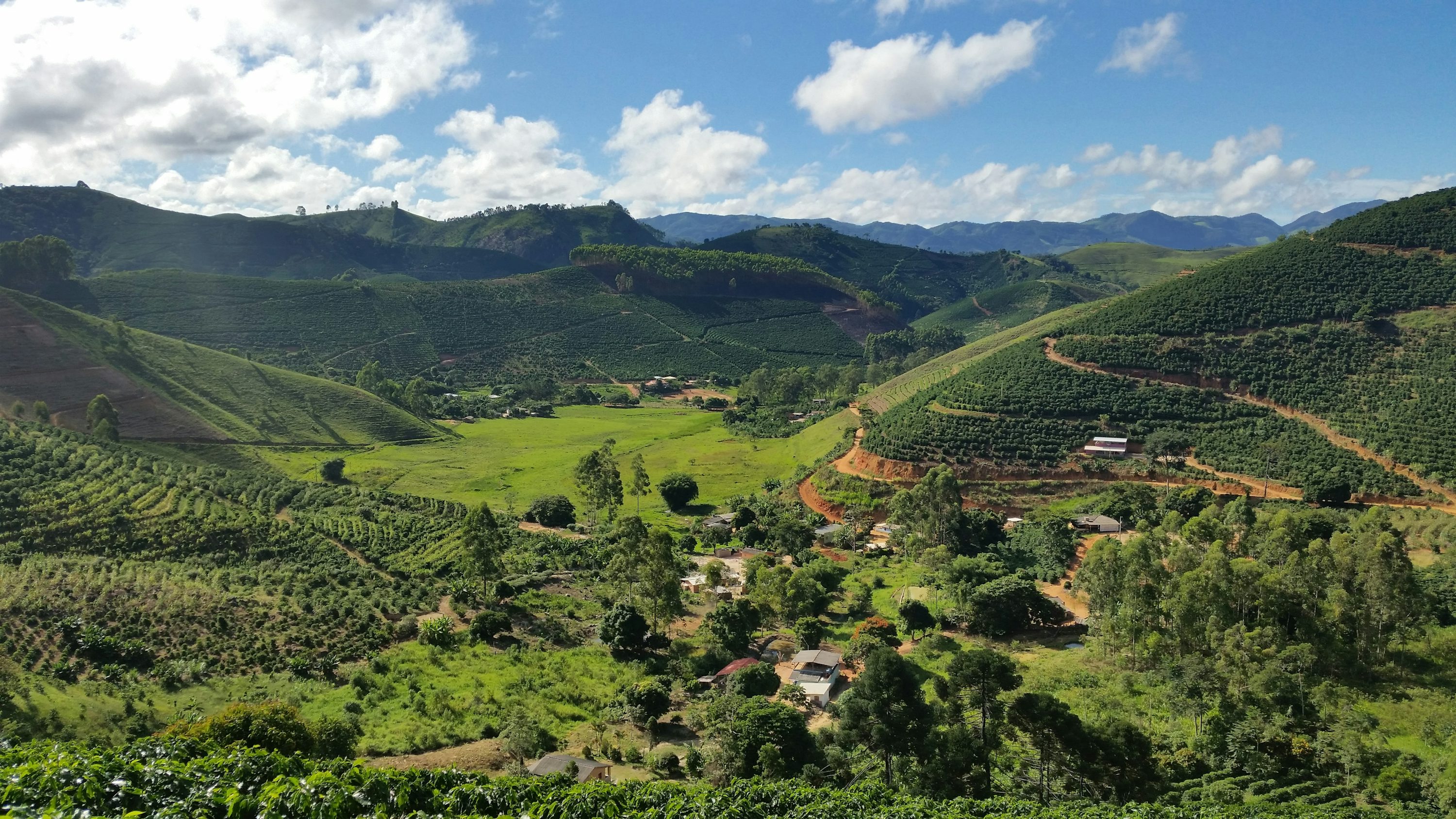 Imagem de plantação no campo
