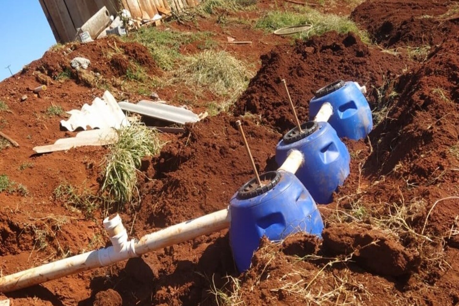 Imagem do projeto Flappy Bird